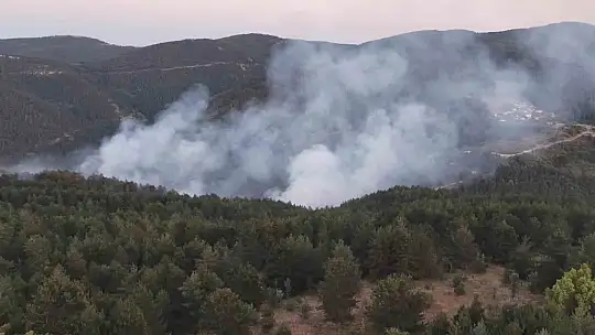 Kastamonu'da çıkan orman yangını kontrol altına alındı