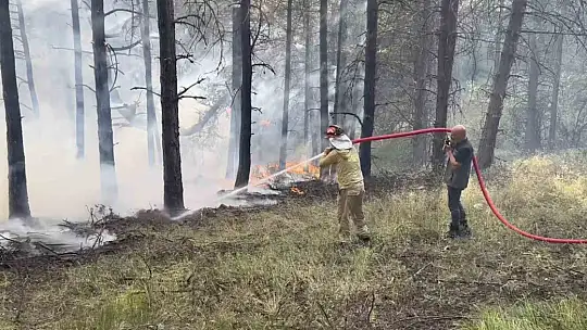Kastamonu'da çıkan orman yangını kontrol altına alındı