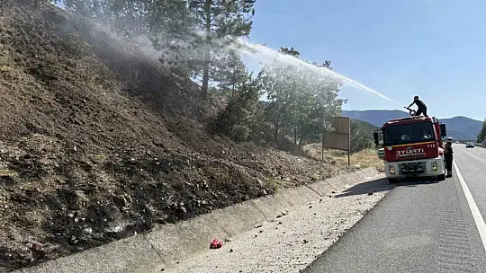 Örtü yangınları büyümeden söndürüldü