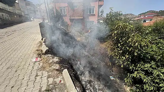 Örtü yangınları büyümeden söndürüldü
