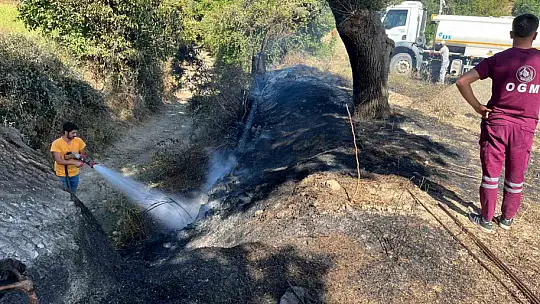 Kastamonu'da çıkan örtü yangını söndürüldü