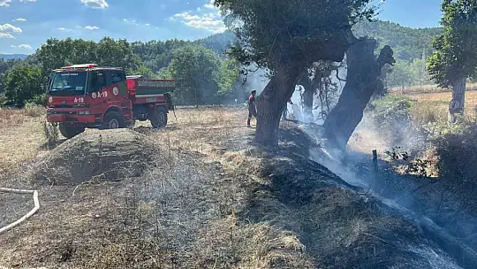 Kastamonu'da çıkan örtü yangını söndürüldü