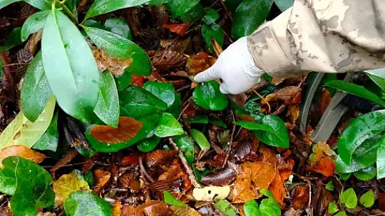 Kastamonu'da dere yatağında ölü bulunan anneye ait cep telefonu da bulundu