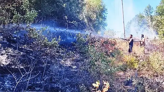 Kastamonu'da elektrik tellerinin kopması sebebiyle ormanlık alanda çıkan yangın söndürüldü