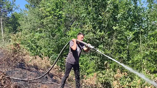 Kastamonu'da elektrik tellerinin kopması sebebiyle ormanlık alanda çıkan yangın söndürüldü