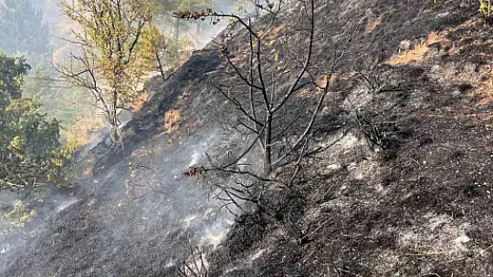 Kastamonu'da elektrik tellerinin kopması sebebiyle ormanlık alanda çıkan yangın söndürüldü