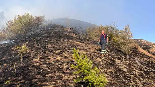 Kastamonu'da elektrik tellerinin kopması sebebiyle ormanlık alanda çıkan yangın söndürüldü