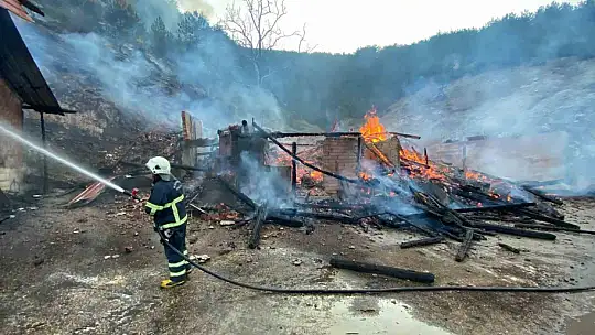Kastamonu'da evde çıkan yangın ormana sıçradı