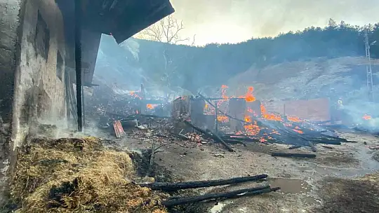 Kastamonu'da evde çıkan yangın ormana sıçradı