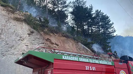 Kastamonu'da evde çıkan yangın ormana sıçradı