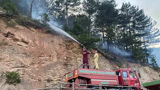 Kastamonu'da evde çıkan yangın ormana sıçradı