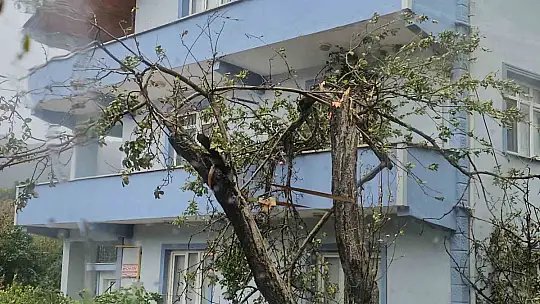 Kastamonu'da fırtına çatıları uçurdu, ağaçları devirdi