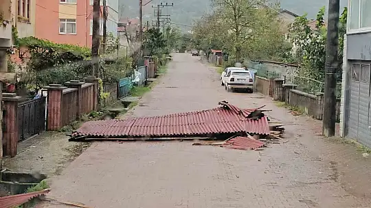 Kastamonu'da fırtına çatıları uçurdu, ağaçları devirdi