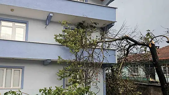 Kastamonu'da fırtına çatıları uçurdu, ağaçları devirdi