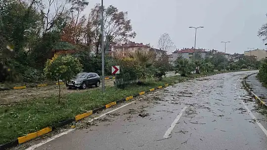 Kastamonu'da fırtına çatıları uçurdu, ağaçları devirdi