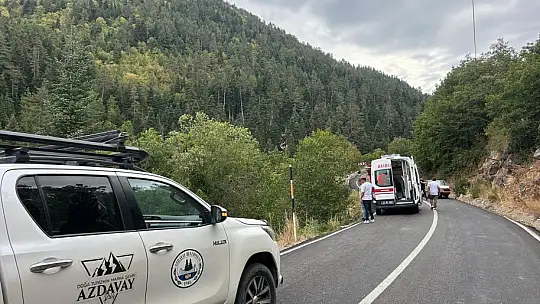 Kastamonu'da hafif ticari araç şarampole yuvarlandı: 4 yaralı