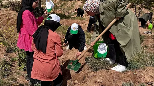 Kastamonu'da huzurevi sakinleri ile sevgi evinde kalan çocuklar fidan dikti
