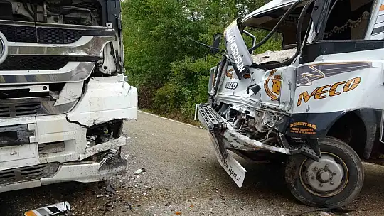 Kastamonu'da iki kamyon kafa kafaya çarpıştı: 2 yaralı