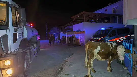 Kastamonu'da iki katlı ahşap ev yandı, iki büyükbaş hayvan telef oldu