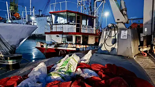 Kastamonu'da kaçak avlanan 142 kalkan balığına el konuldu