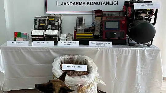 Kastamonu'da kaçakçılık operasyonu: 1 gözaltı