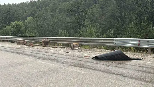 Kastamonu'da kamyonet bariyerlere çarptı: Etrafa saçılan kovandaki arılar telef oldu