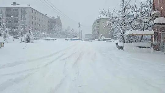 Kastamonu'da kar yağışı etkisini sürdürüyor