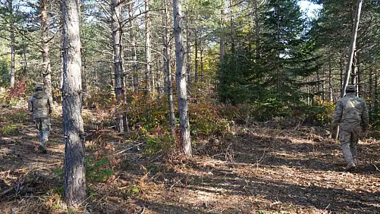 Kastamonu'da kayıp anne ile oğlunu arama çalışmaları devam ediyor