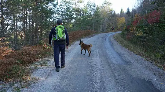 Kastamonu'da kayıp anne ile oğlunu arama çalışmaları devam ediyor