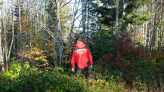 Kastamonu'da kayıp anne ile oğlunu arama çalışmaları devam ediyor