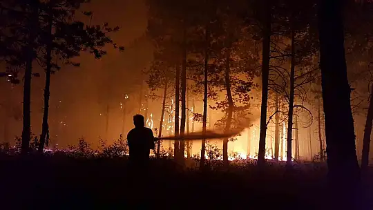 Kastamonu'da küle dönen bin 256 hektarlık orman yeniden ağaçlandırılıyor