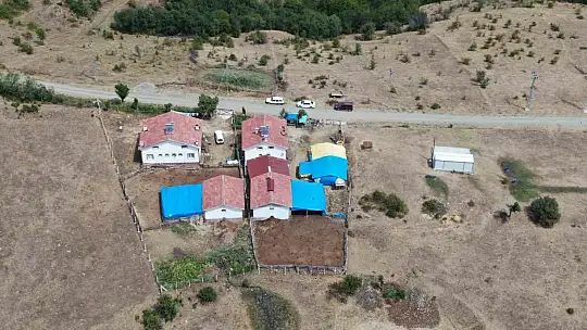 Kastamonu'da küle dönen bin 256 hektarlık orman yeniden ağaçlandırılıyor