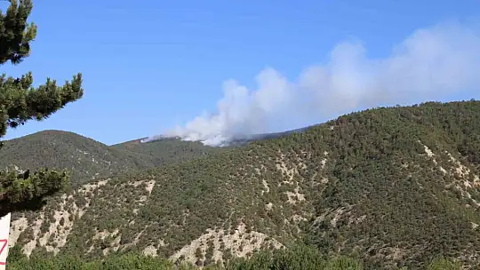 Kastamonu'da orman yangını: Alevlere havadan ve karadan müdahale ediliyor