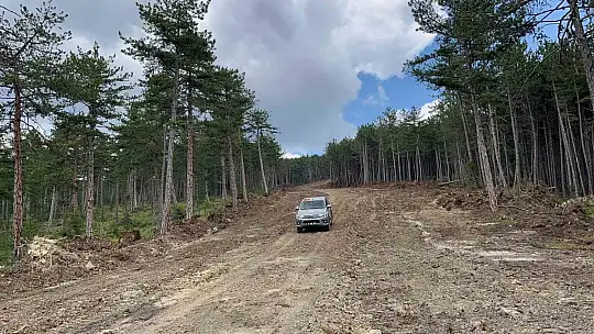 Kastamonu'da ormanları yangınlardan korumak için emniyet yolu çalışmaları sürüyor