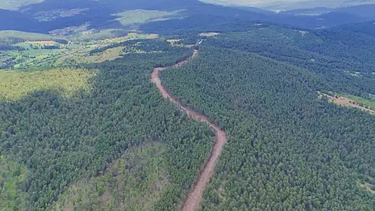 Kastamonu'da ormanları yangınlardan korumak için emniyet yolu çalışmaları sürüyor