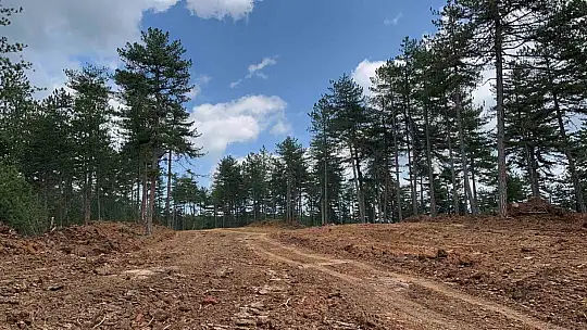 Kastamonu'da ormanları yangınlardan korumak için emniyet yolu çalışmaları sürüyor