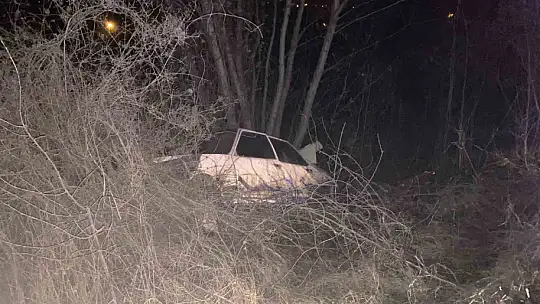 Kastamonu'da otomobil ağaca çarptı: 1 yaralı