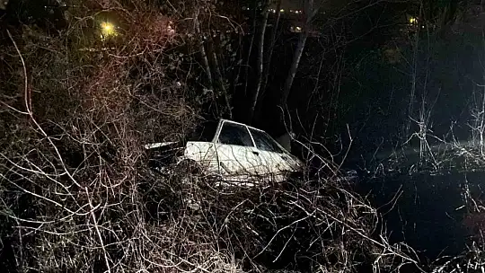 Kastamonu'da otomobil ağaca çarptı: 1 yaralı