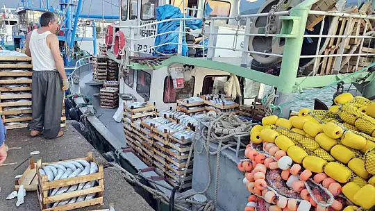 Kastamonu'da palamut bereketi: Kiloluk palamutlar 40 TL'ye satılıyor