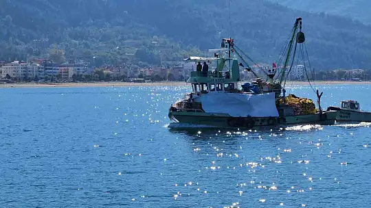 Kastamonu'da palamut bereketi: Kiloluk palamutlar 40 TL'ye satılıyor