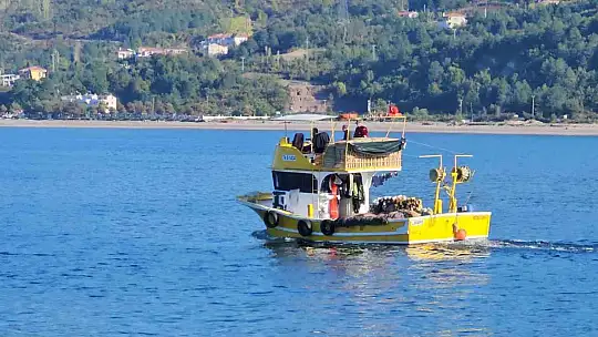 Kastamonu'da palamut bereketi: Kiloluk palamutlar 40 TL'ye satılıyor