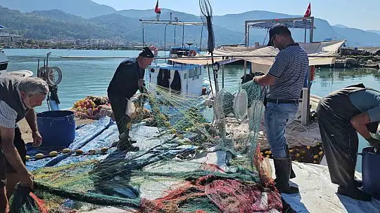 Kastamonu'da palamut bereketi: Kiloluk palamutlar 40 TL'ye satılıyor