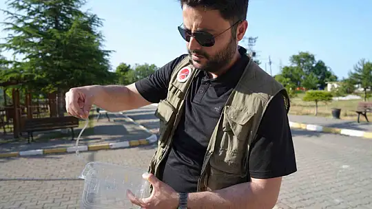 Kastamonu'da, Rusya'dan gelen polen tespit edildi: Polen alerjisi olanları ağustos ve eylül aylarında etkiliyor