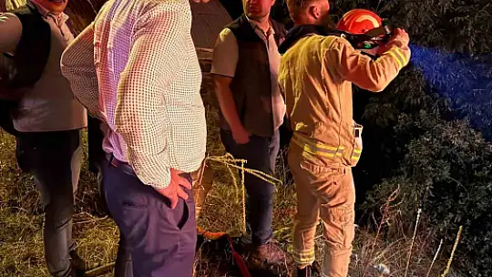 Kastamonu'da samanlık yangını: Bin 200 balya küle döndü