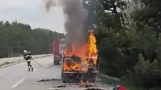 Kastamonu'da seyir halindeki kamyonet alev alev yandı