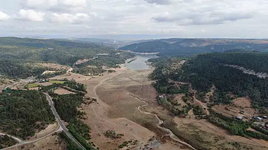 Kastamonu'da su seviyesi düşen barajda ölen balıklar kıyıya vurdu