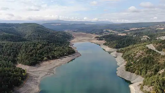 Kastamonu'da su seviyesi düşen barajda ölen balıklar kıyıya vurdu