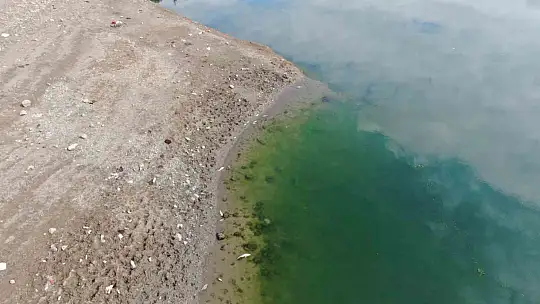Kastamonu'da su seviyesi düşen barajda ölen balıklar kıyıya vurdu