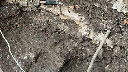 Kastamonu'da tarihi eser ile uyuşturucu madde ele geçirildi: 7 gözaltı