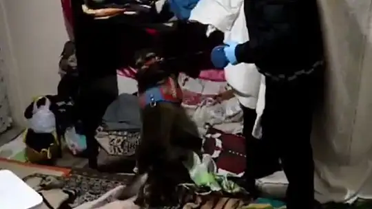 Kastamonu'da uyuşturucu operasyonlarında 9 gözaltı